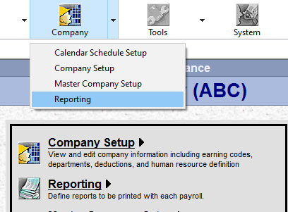 Company Setup Reporting section