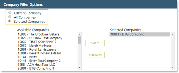 Company Filter Options section